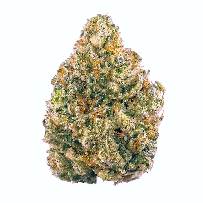 The Brain Damage strain is an indica that encourages sleep, hunger, & creativity, that has an earthy, menthol, woody flavor.