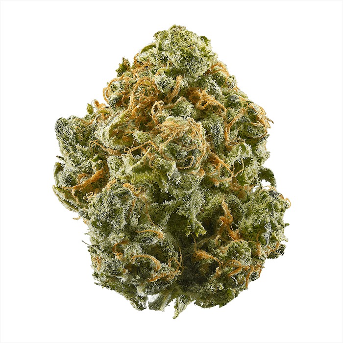 The Alaskan Thunder Fuck strain contains 37.08% THC, Myrcene, Limonene, Caryophyllene terpenes, & is a menthol, sage flavor.