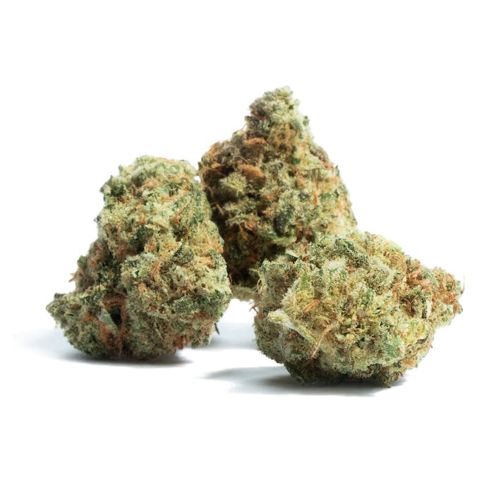 The Johnny O strain is a sativa that contains 23.7% THC, Myrcene, Limonene terpenes, & is a pungent, skunky, flowery flavor.