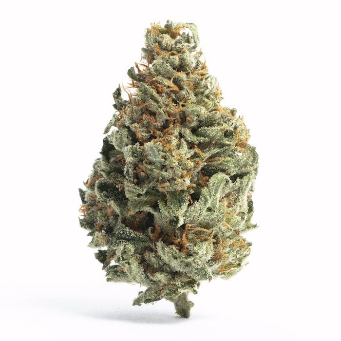 The Sweetly Smashed strain contains 23.98% THC, Caryophyllene, Myrcene, Pinene terpenes, 7 has a sweet, flowery, berry flavor.